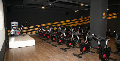 Synergym Valencia Peset