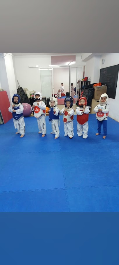 Gimnasio taekwondo Falcon&apos;s