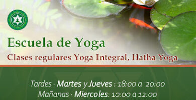 Asociación Merkhaba de profesores de Yoga y otras técnicas creativas