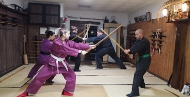 Bujinkan Girona Dojo