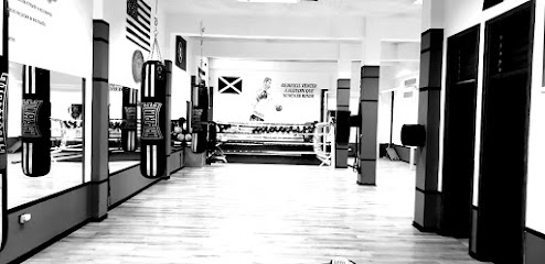 Gym Palenzuela Box