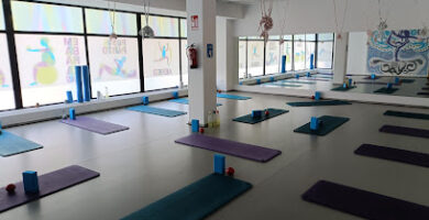 Fisioterapia Y Pilates Terapeutico Atlas